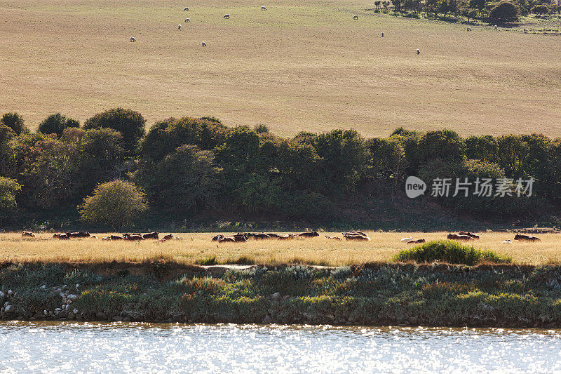 英国苏塞克斯郡的Cuckmere Haven